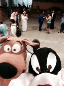 11796373_10153574897401385_7930145614761073149_n